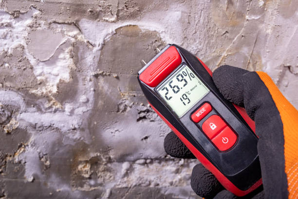 Best Mold Removal Company Near Me  in Rossville, KS