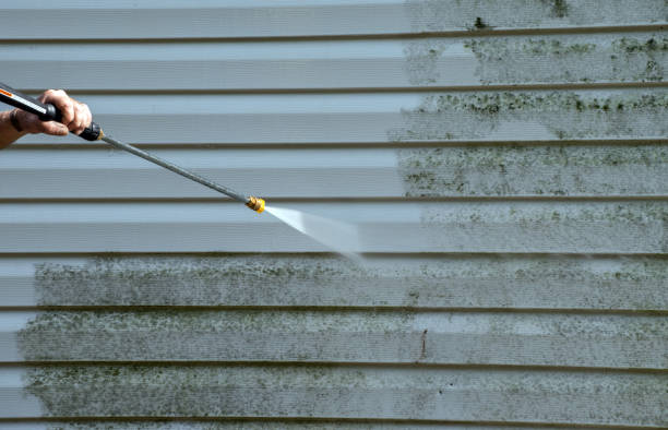 Best Home Mold Removal  in Rossville, KS