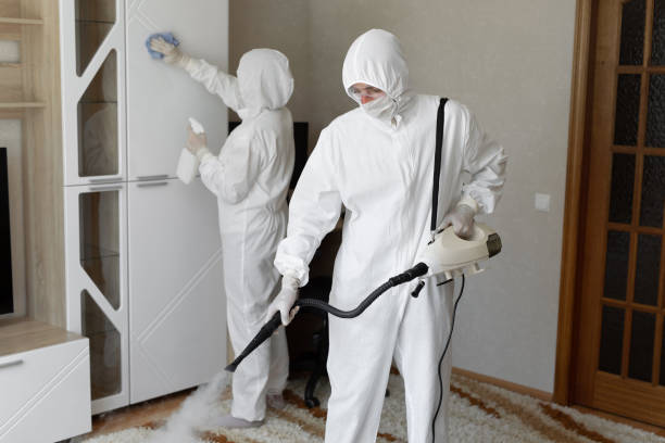 Office Mold Removal Services in Rossville, KS