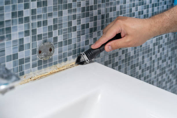 Best Emergency Mold Removal  in Rossville, KS